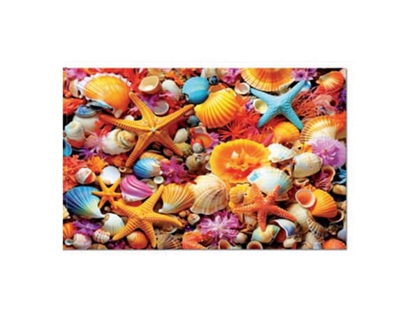 Educa 1000 Shell Collage