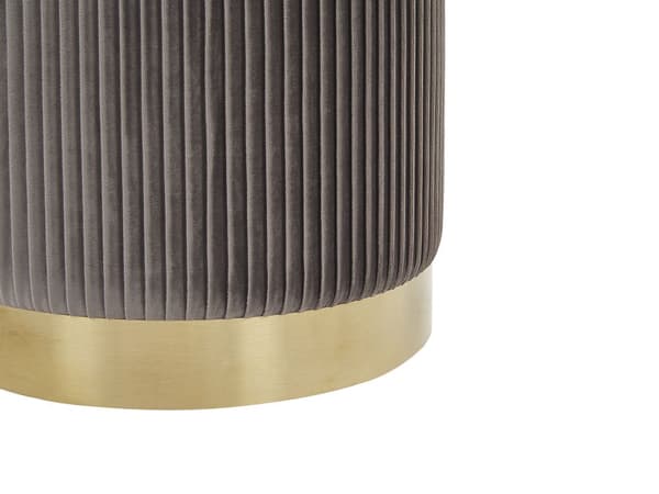 Set med 2 puffar med förvaring Grå Polyester Sammet Klädsel Guld Bas Modern Design Horisontell Tuft Vardagsrum Accentpjäs