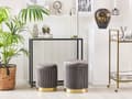 Miniatyrbild 2 av 7: Set med 2 puffar med förvaring Grå Polyester Sammet Klädsel Guld Bas Modern Design Horisontell Tuft Vardagsrum Accentpjäs