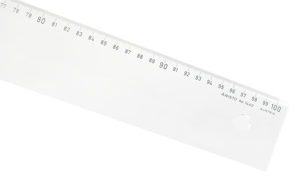 Beaphar rentouttava kaulapanta koirille - 65 cm