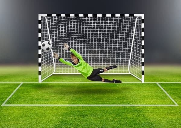 Pro fodboldmål 300 x 200 cm hvid og sort