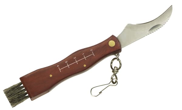 Lommekniv til svampeplukning med etui