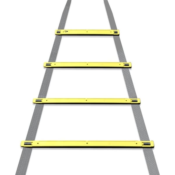 Dunlop-Koordinationsstege