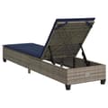 Miniatyrbillede 9 af 11: vidaXL liggestol med hynder 55x200x25,5 cm polyrattan grå