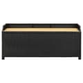 Miniatyrbillede 4 af 9: The Living Store havebænk med opbevaring 120 cm polyrattan sort -  Havebænke