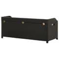 Miniatyrbillede 6 af 9: The Living Store havebænk med opbevaring 120 cm polyrattan sort -  Havebænke