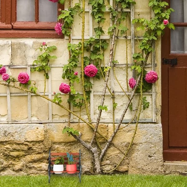 Relaxdays blomsterbänk, gjutjärn och trä, växtstöd för blomkrukor, olika dimensioner, brun/grön-grå
