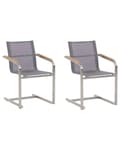 Miniatyrbillede 1 af 10: Havestole Grå Polyester og Sølv Rustfrit Stål 2 stk 85 x 55 x 56 cm Dekorative Frisvingerstole med Armlæn til Udendørs Havebord Terrasse Altan
