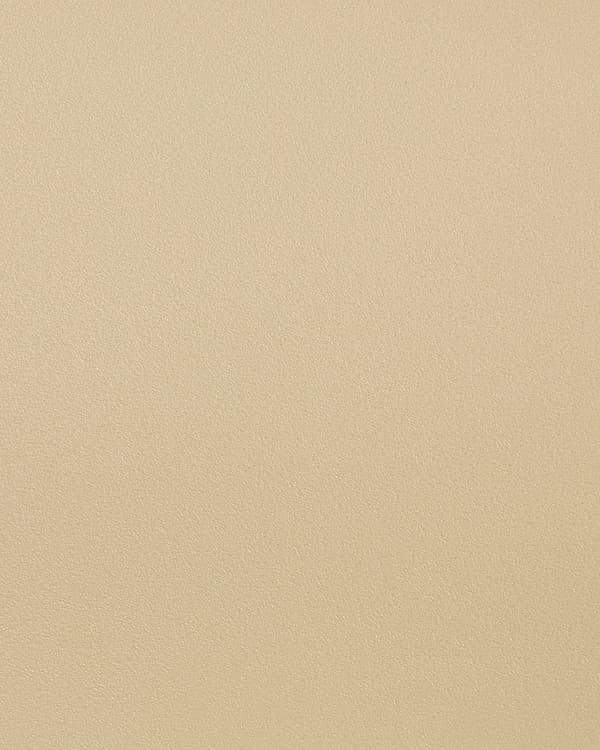 Sæt med 4 Havestole Spisestuestole Beige Polypropylen Let Vejrbestandig Plastik Indendørs Udendørs Moderne Stil