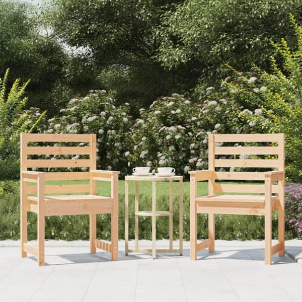 vidaXL Puutarhatuolit 2 kp 60x48x91 cm täysi mänty