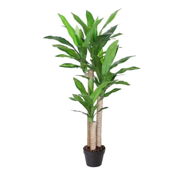 Grøn plante DRACAENA, H125cm, 3 grene, sort potte