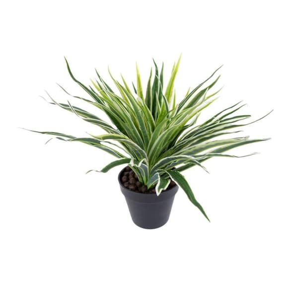 Grøn plante GRØNT GRÆS H30cm