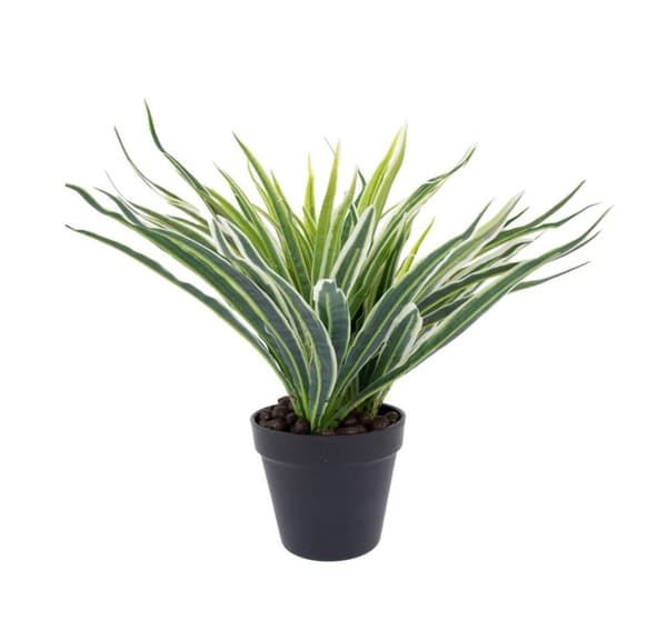 Grøn plante GRØNT GRÆS H30cm