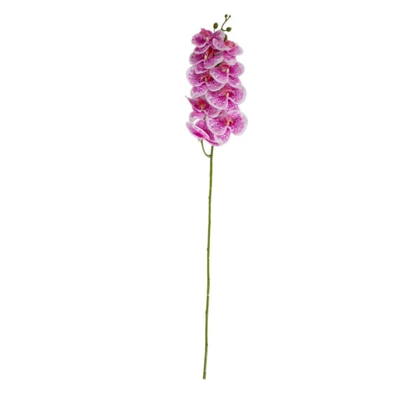 Orkidé BLOMMIG H94cm, rosa