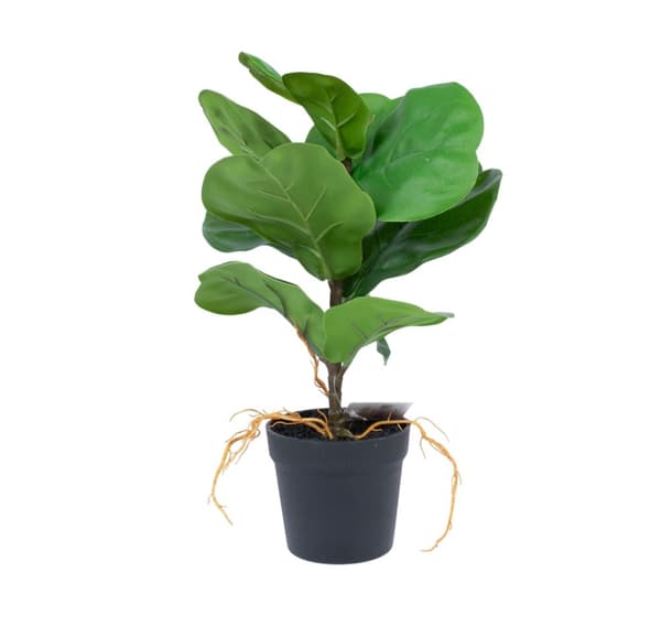Kunstig plante GREENLAND H35cm, Clusia rosea