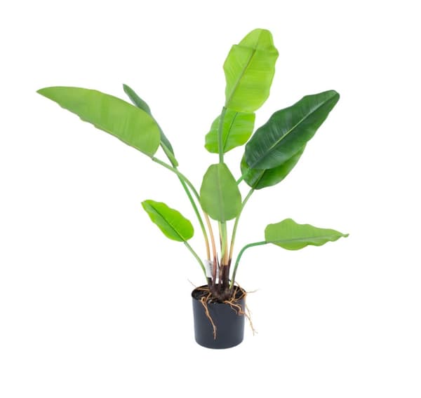 Kunstig plante GRØNLAND H78cm, Strelitzia