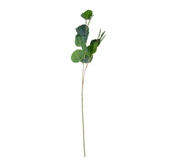 Kunstig plante GREENLAND H73cm, eukalyptus