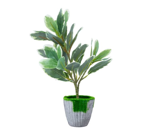 Kunstig plante GRØNLAND H27cm