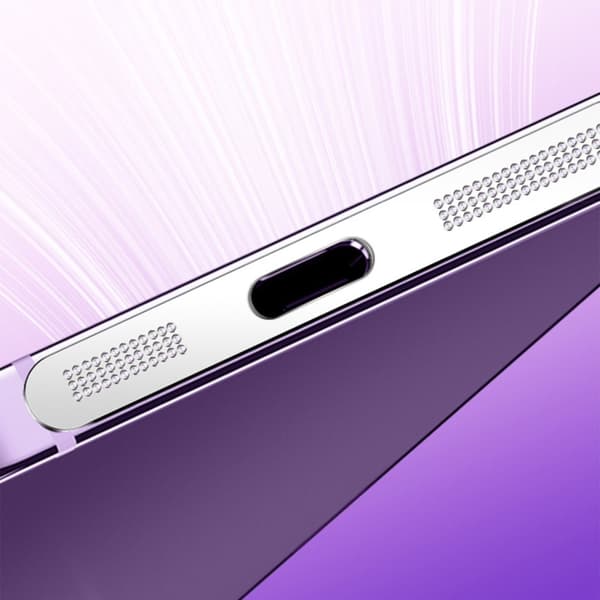 INF Støvbeskyttende netting til iPhone 12/13/14 Pro Max, 10-pakning Sort