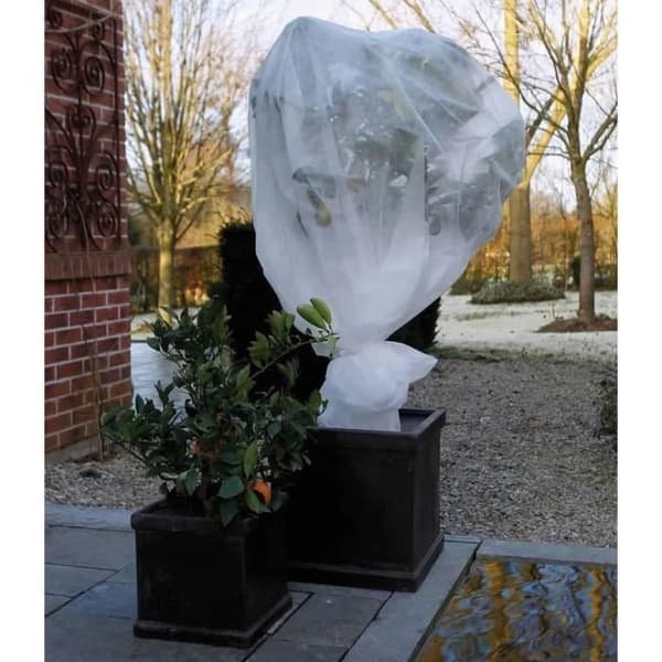 Nature talvifleecepeitto 30 g/m² valkoinen 2 x 10 m
