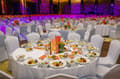 Miniatyrbillede 7 af 10: BANQUET STOLBETRÆK HVID top premium