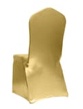 Miniatyrbild 2 av 6: ÖVERDRAG till stolsresår GOLD premium