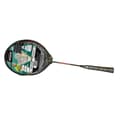 Miniatyrbillede 4 af 4: SportX Badmintonsæt 5-delt Assorteret