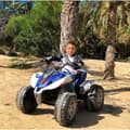 Miniatyrbild 5 av 8: Electric Quad Injusa Rage Light Blue White 12 V
