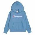 Miniatyrbillede 1 af 3: Children’s Hoodie Champion