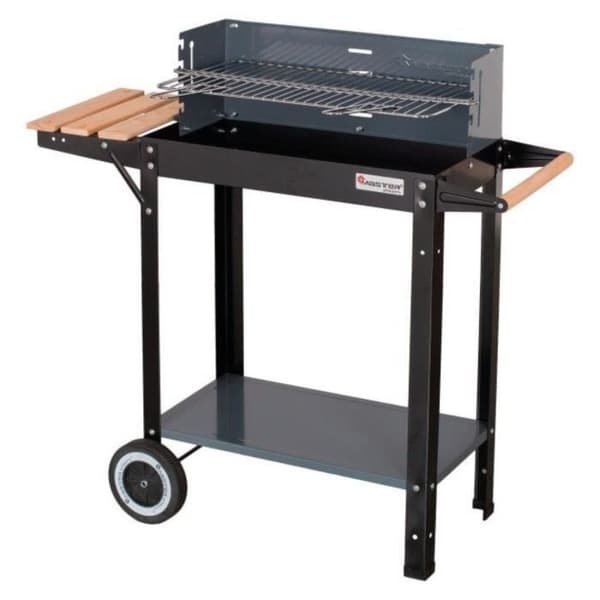 Grill med rektangulär kolbricka 53 x 27 cm Master Grill