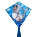 Miniatyrbild 2 av 4: Rhombus Mini Junior Drake 25x25 cm Assorted