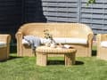 Miniatyrbilde 4 av 11: 3 seters Hagesofa Naturrotting Hvit Bomullspute Medium Motstand Utendørs Boho Style Hage Uteplass Balkong