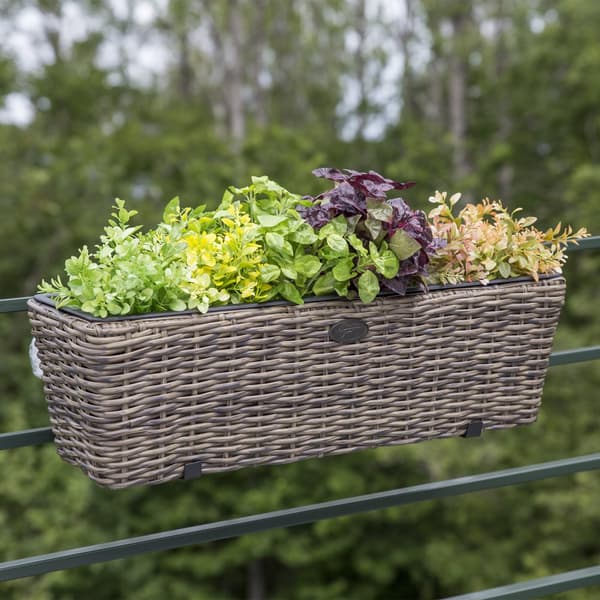 Parvekelaatikko WICKER 60x19xK18cm polyrottinkia, tummanruskea