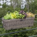 Pikkukuva 2 / 2: Parvekelaatikko WICKER 60x19xK18cm polyrottinkia, tummanruskea