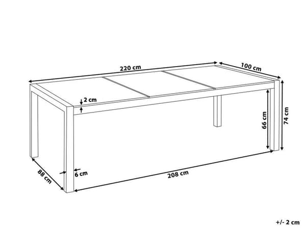 Havebord Krakeleret Effekt Glasbordplade 220 x 100 cm 8 Personers stålstel