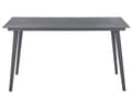 Miniatyrbild 5 av 8: Trädgårdsbord Grå Glasskiva 140 x 80 cm Metallben Rektangulär Minimalistisk Industriell