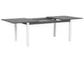 Miniatyrbilde 7 av 10: Hagebord Grå Aluminium 75 x 168 / 248 x 100 cm Uttrekkbar Utendørs Spisebord