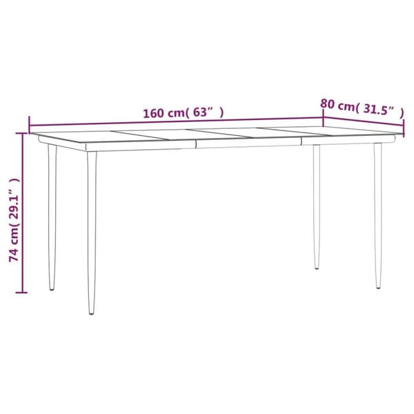vidaXL havebord 160x80x74 cm stål og hærdet glas sort