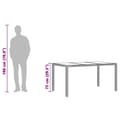 Miniatyrbillede 9 af 11: vidaXL havebord med glastop 150x90x75 cm polyrattan sort
