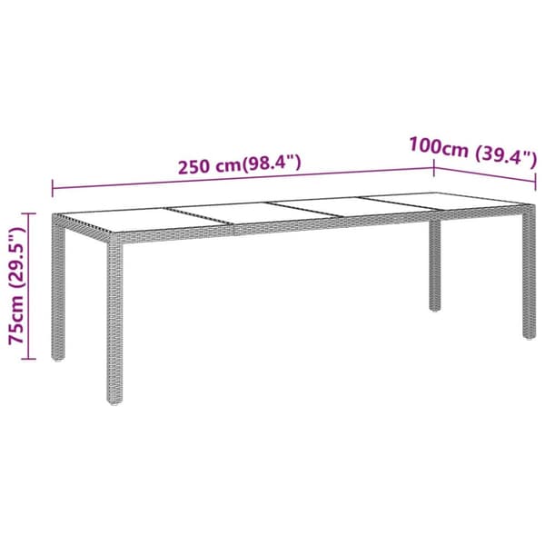 vidaXL havebord 250x100x75 cm hærdet glas og polyrattan grå - Haveborde