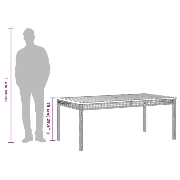 The Living Store havebord 180x90x75 cm polyrattan og akacietræ sort - Haveborde