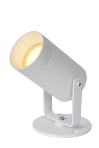 Taylor udendørs gulvlampe 09832/01/31 Lucide