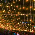 Miniatyrbillede 2 af 2: LED Lyskæder, 100M Længde, 800 LED'er, Varm Hvid, Allround Dekoration,EU Stik, 100m 800Led100m 800Led, Varm Hvid