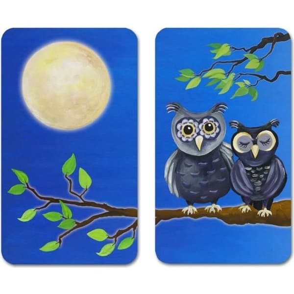 Hällskydd - WENKO - Uggla - Härdat glas - Set om 2 - 30x52 cm