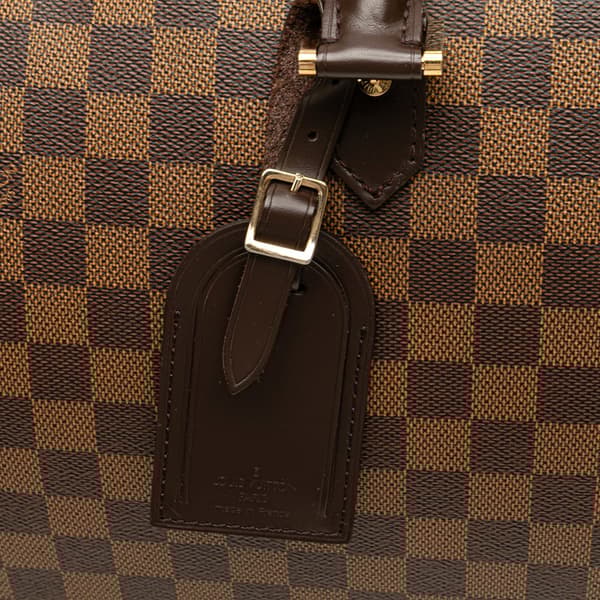Pre-owned Louis Vuitton Damier Ebene Ribera GM Brown