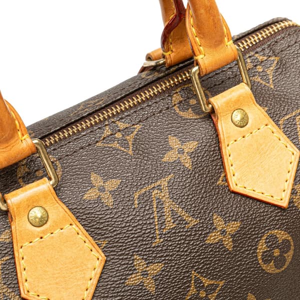 Pre-owned Louis Vuitton Monogram Speedy 25 Brown