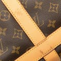 Pikkukuva 8 / 10: Pre-owned Louis Vuitton Monogram Sac Chien Pet Carrier 40 Brown