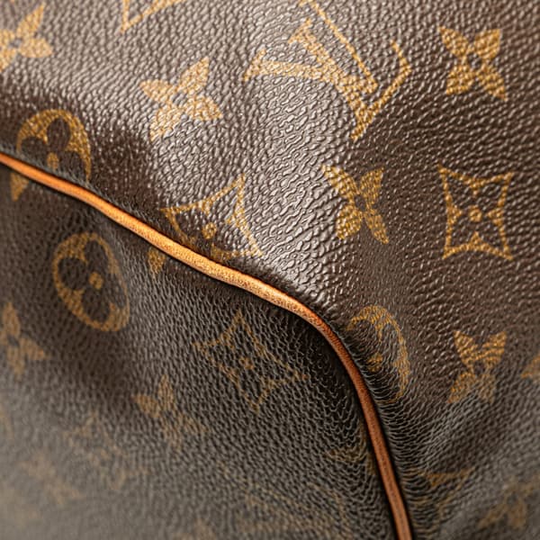 Pre-owned Louis Vuitton Monogram Speedy 40 Brown
