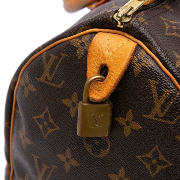 Pre-owned Louis Vuitton Monogram Speedy 30 Brown
