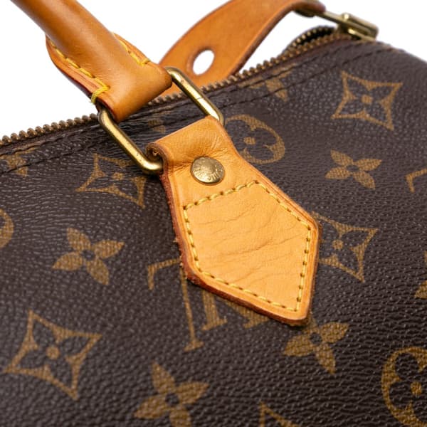Pre-owned Louis Vuitton Monogram Speedy 30 Brown